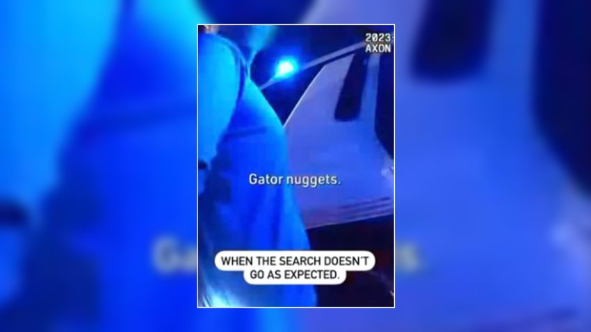 A drunken tourist was arrested after authorities in Florida said he “molested” a manatee statue then tossed gator nuggets throughout a restaurant before he went on an expletive-filled tirade at a hotel.