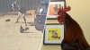 Man charged with animal cruelty after being caught on video beating rooster in Fort Lauderdale