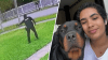 Surveillance video shows Miami Gardens officer shooting dog several times
